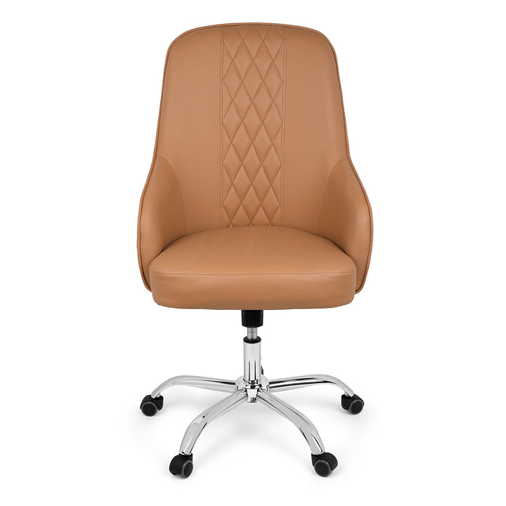 YL Salon Customer Chair