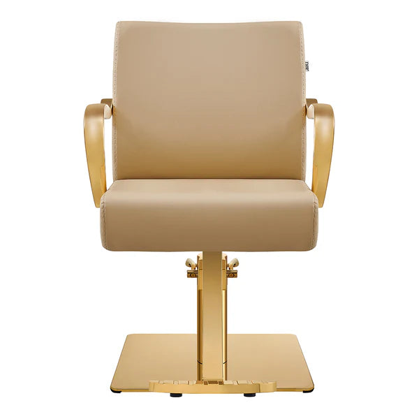 Meteor Gold Salon Styling Chair