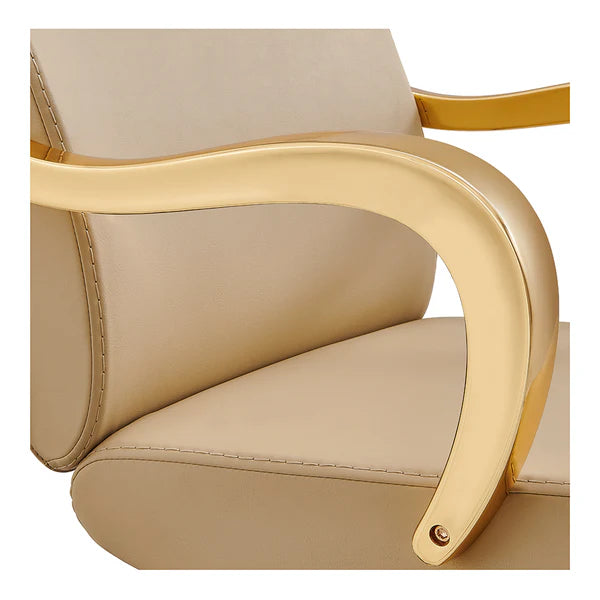 Meteor Gold Salon Styling Chair