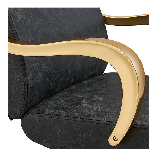 Meteor Gold Salon Styling Chair