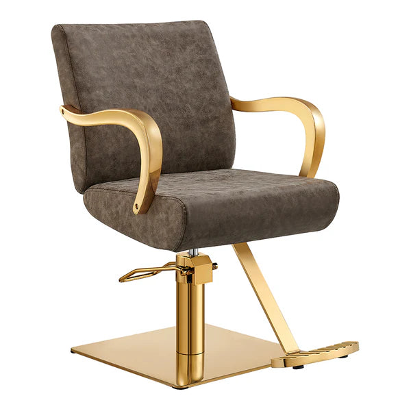 Meteor Gold Salon Styling Chair
