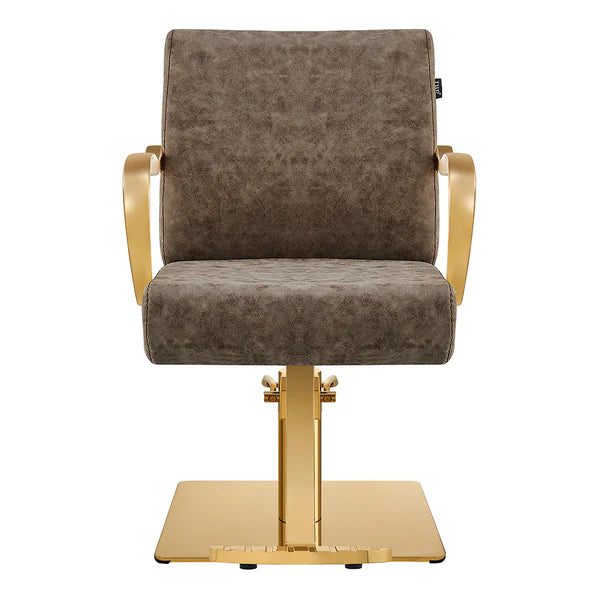 Meteor Gold Salon Styling Chair