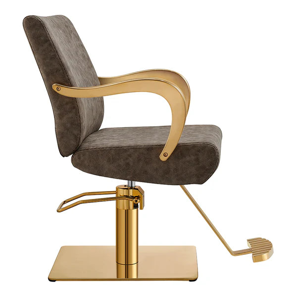 Meteor Gold Salon Styling Chair