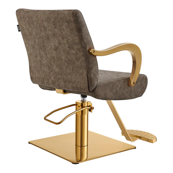 Meteor Gold Salon Styling Chair