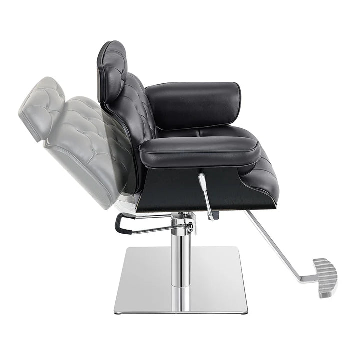 Planet All Purpose Salon Chair