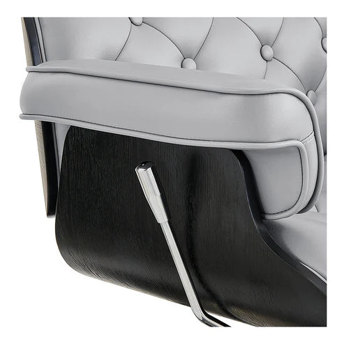 Planet All Purpose Salon Chair
