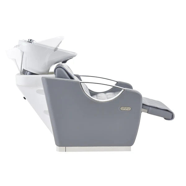 Victoria Electric Shampoo Backwash Unit