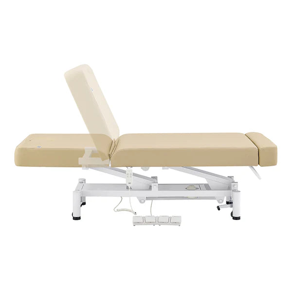 WellRelax 2-Motors Therapy Treatment Table with Tilting Cradle Pillow