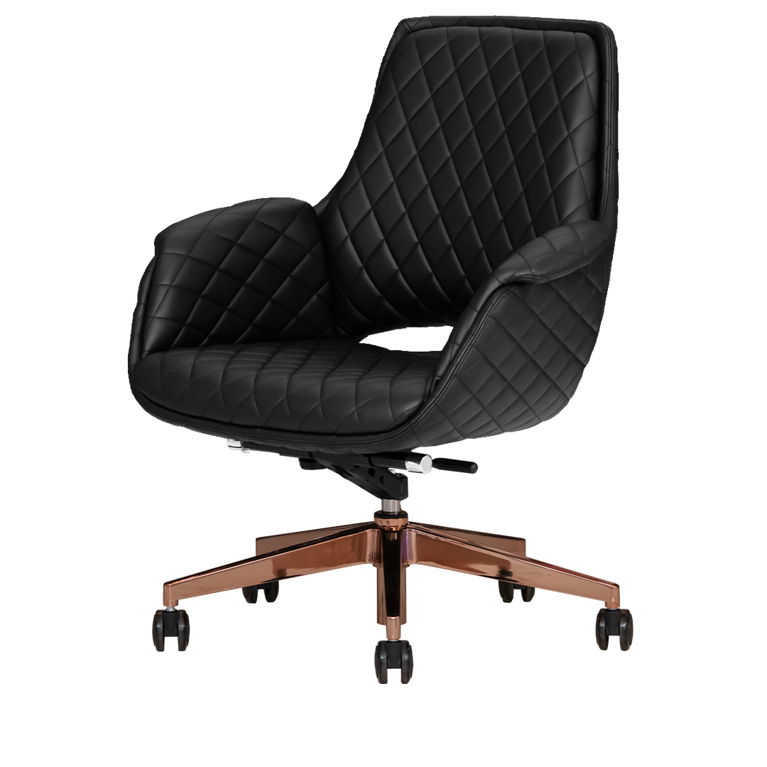 Jewel Gold Edition Salon Customer Chair