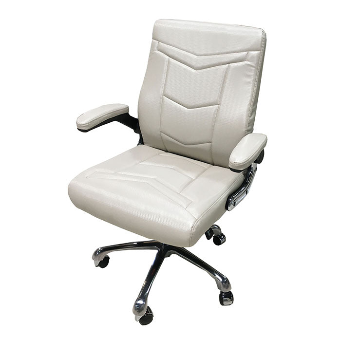 GC-LV001 Salon Customer Chair