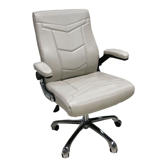 GC-LV001 Salon Customer Chair