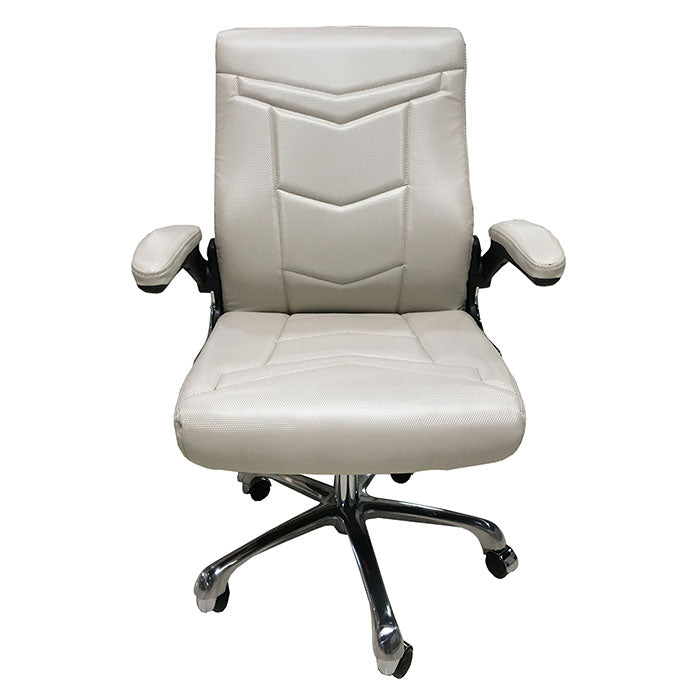 GC-LV001 Salon Customer Chair